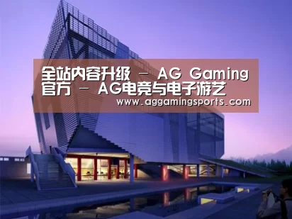 案例展示六