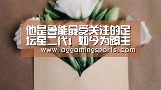 AG电竞