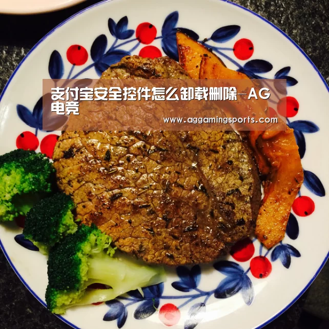 支付宝安全控件怎么卸载删除-AG电竞(图3) 支付宝安全控件怎么卸载删除-AG电竞(图3)