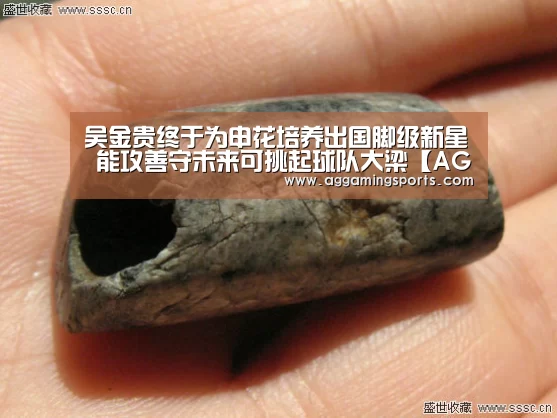 吴金贵终于为申花培养出国脚级新星 能攻善守未来可挑起球队大梁【AG电子】(图2) 吴金贵终于为申花培养出国脚级新星 能攻善守未来可挑起球队大梁【AG电子】(图2)